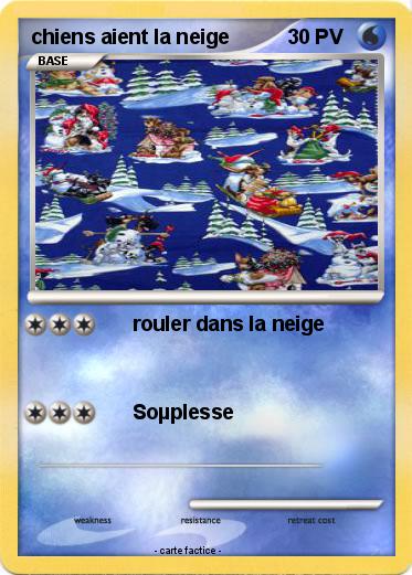 Pokemon chiens aient la neige