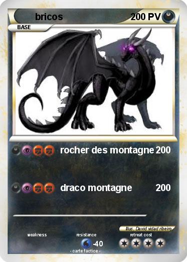 Pokemon bricos