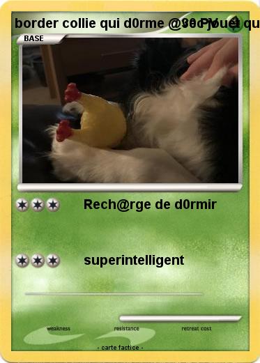 Pokemon border collie qui d0rme @vec jouet qui couine