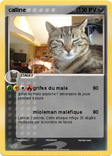 Pokemon calline