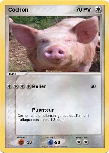 Pokemon Cochon