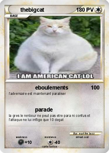 Pokemon thebigcat
