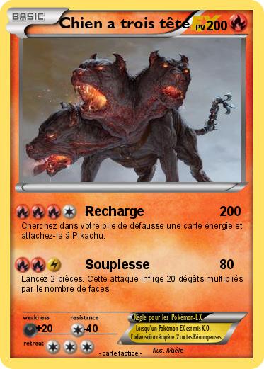 Pokemon Chien a trois tête