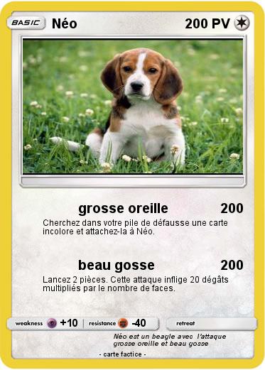 Pokemon Néo