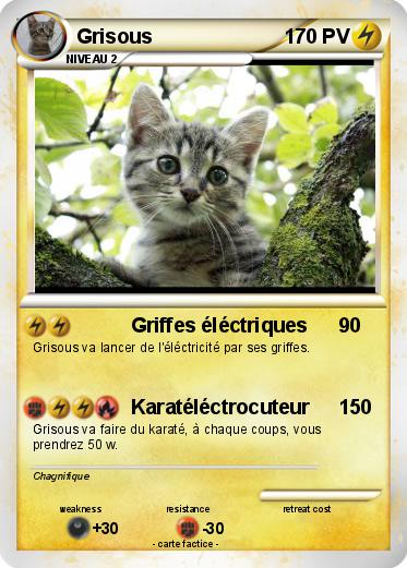 Pokemon Grisous