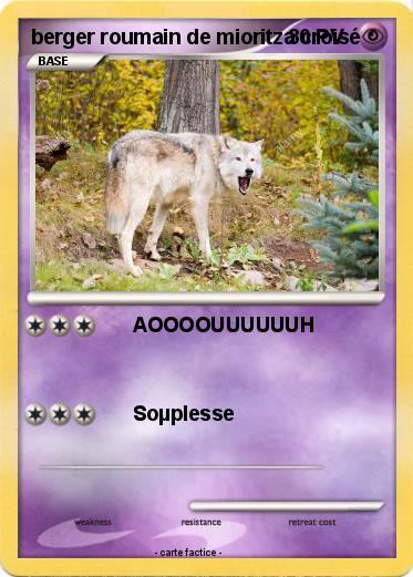 Pokemon berger roumain de mioritza croisé