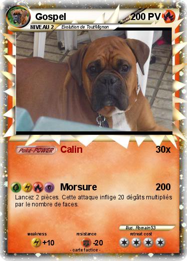 Pokemon Gospel