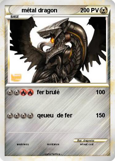 Pokemon métal dragon