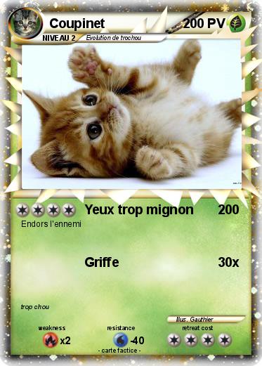 Pokemon Coupinet