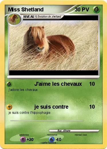 Pokemon Miss Shetland