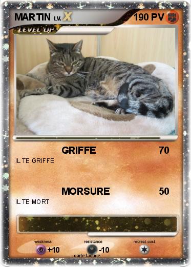 Pokemon MARTIN