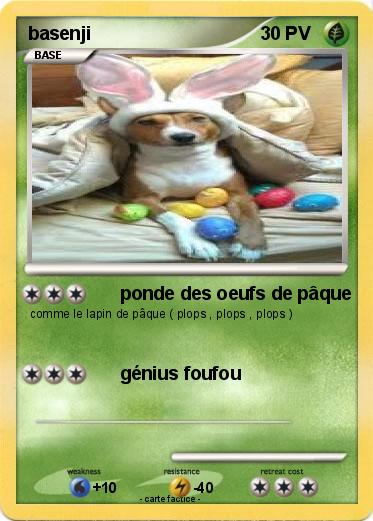 Pokemon basenji