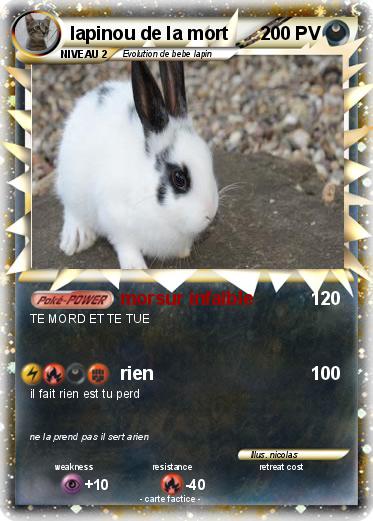 Pokemon lapinou de la mort
