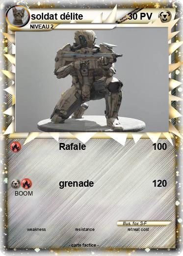 Pokemon soldat délite