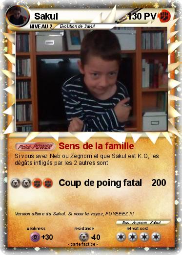 Pokemon Sakul