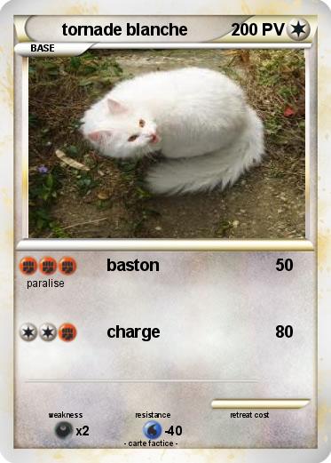 Pokemon tornade blanche
