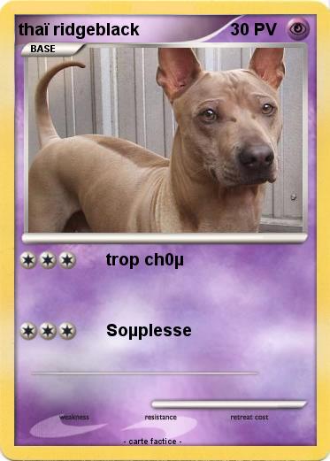 Pokemon thaï ridgeblack