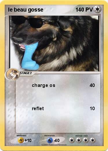 Pokemon le beau gosse