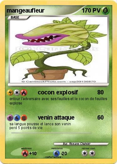 Pokemon mangeaufleur