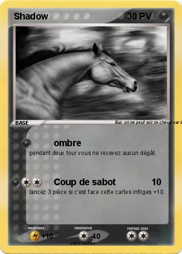 Pokemon Shadow