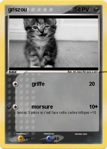 Pokemon griszou