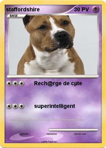 Pokemon staffordshire