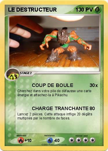 Pokemon LE DESTRUCTEUR