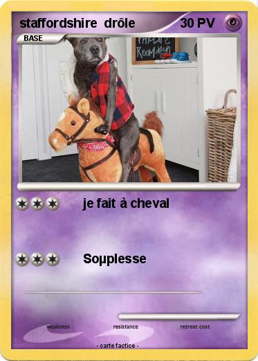 Pokemon staffordshire  drôle