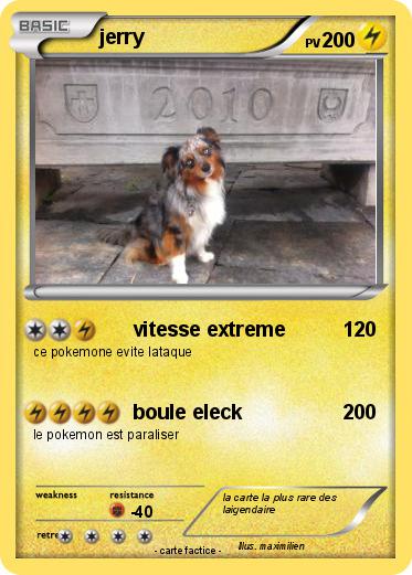 Pokemon jerry