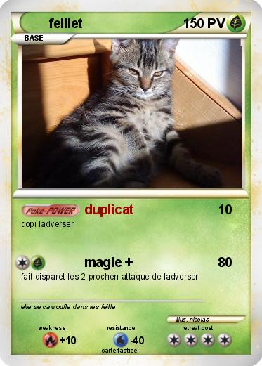 Pokemon feillet