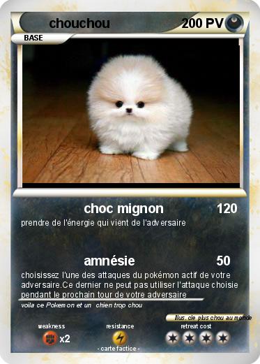 Pokemon chouchou