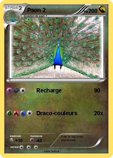 Pokemon Paon 2