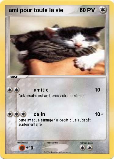 Pokemon ami pour toute la vie