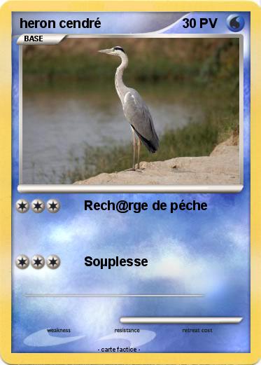 Pokemon heron cendré