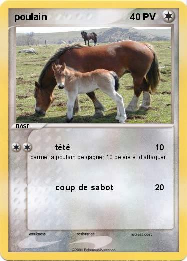 Pokemon poulain