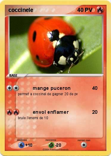 Pokemon coccinele