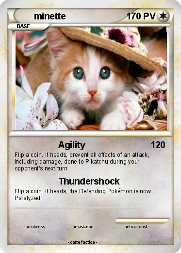 Pokemon minette