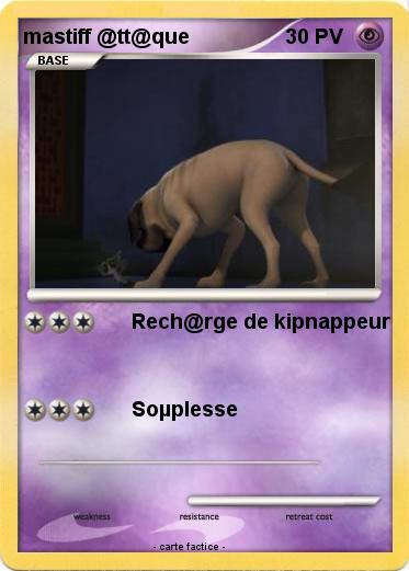 Pokemon mastiff @tt@que