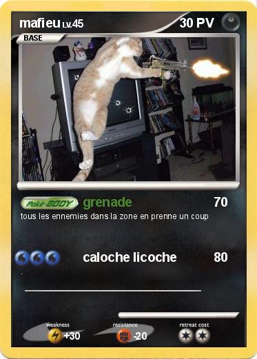 Pokemon mafieu