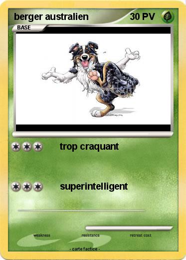 Pokemon berger australien