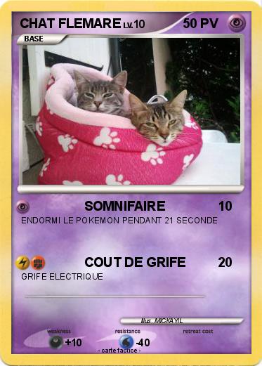 Pokemon CHAT FLEMARE