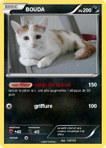 Pokemon BOUDA