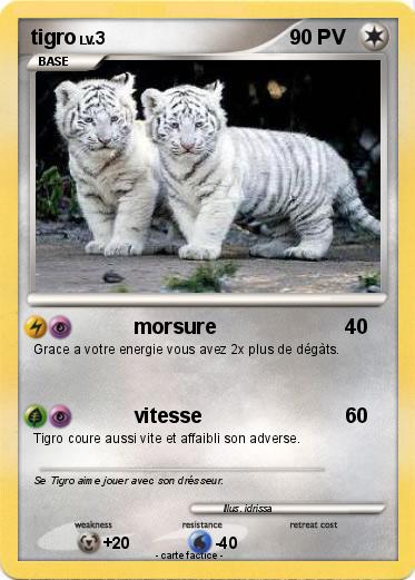 Pokemon tigro