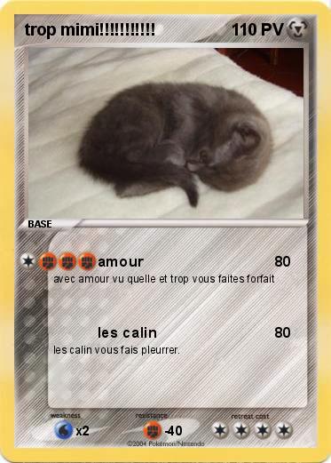 Pokemon trop mimi!!!!!!!!!!!