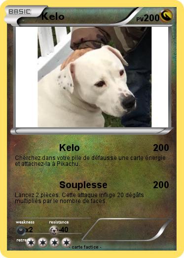 Pokemon Kelo