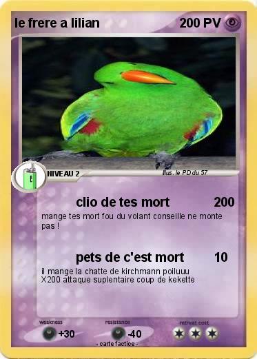 Pokemon le frere a lilian