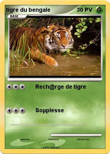 Pokemon tigre du bengale
