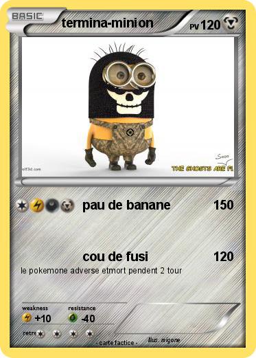 Pokemon termina-minion