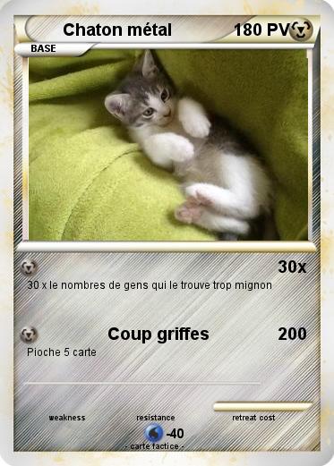 Pokemon Chaton métal