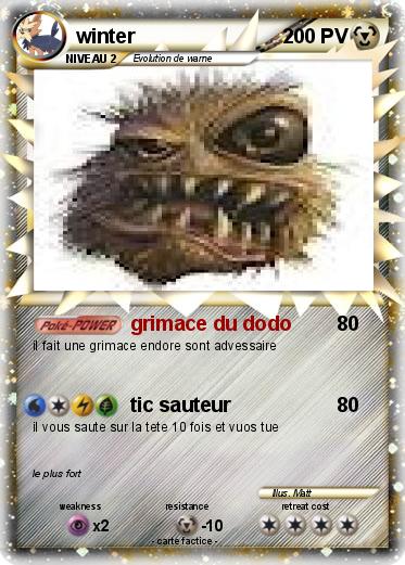 Pokemon winter
